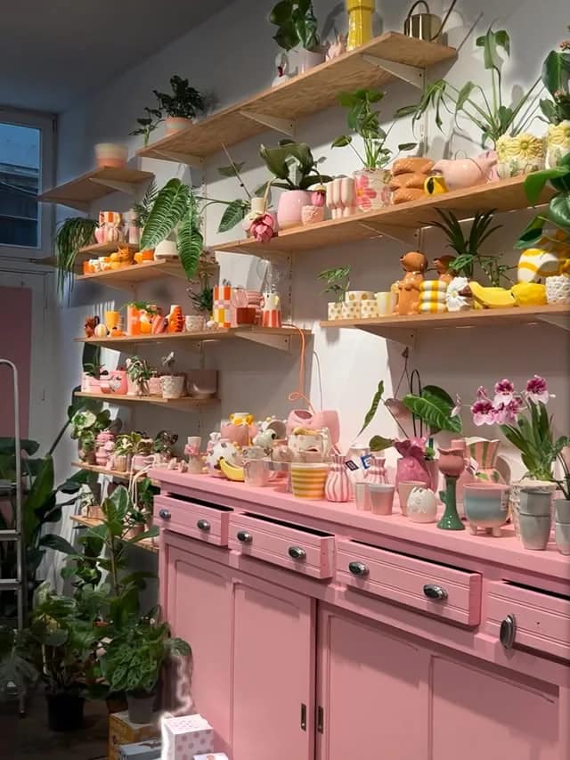 Étagères roses garnies de cache-pots et plantes en boutique