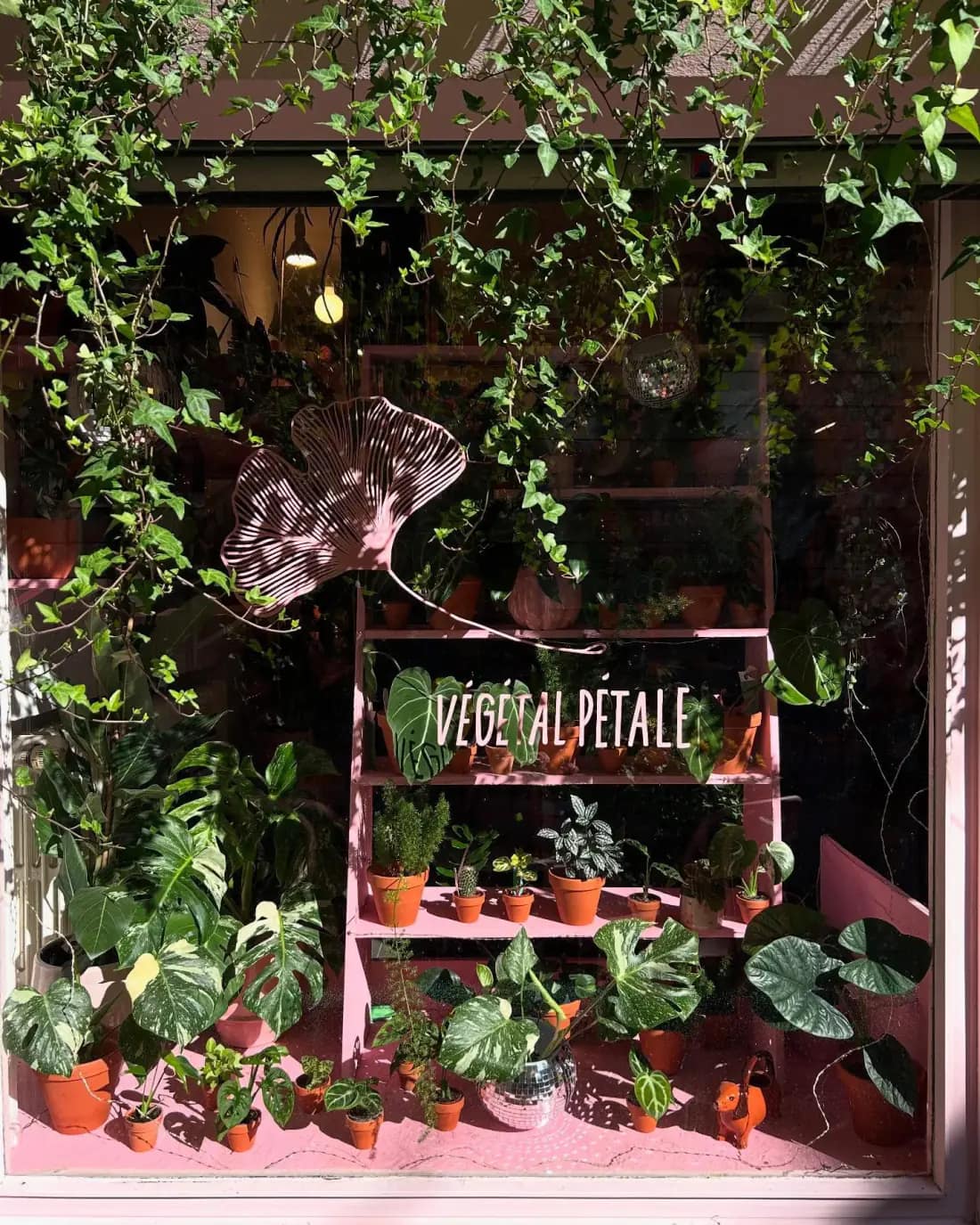 Ambiance de la boutique Végétal Pétale à Liège