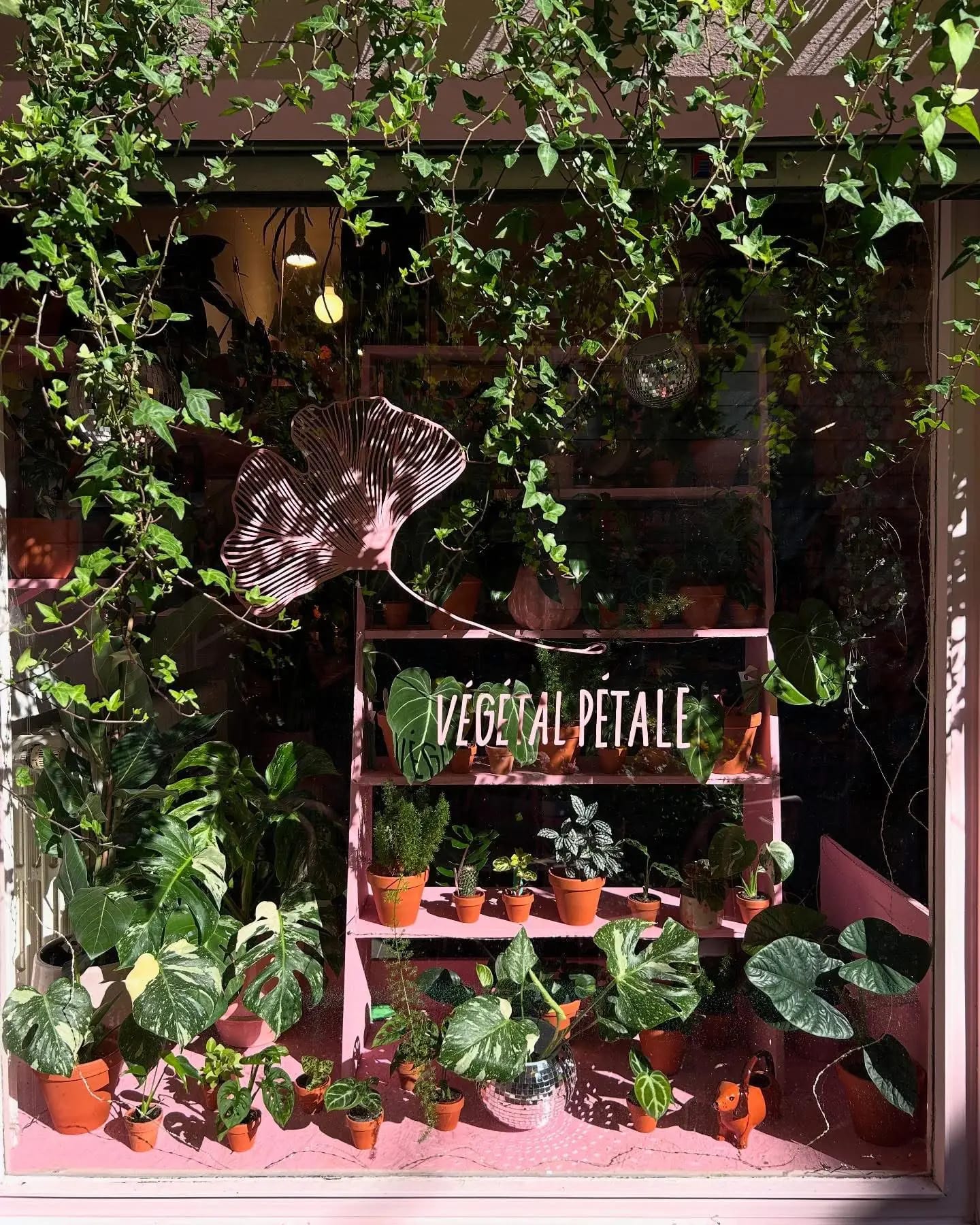 Boutique Végétal Pétale à Liège