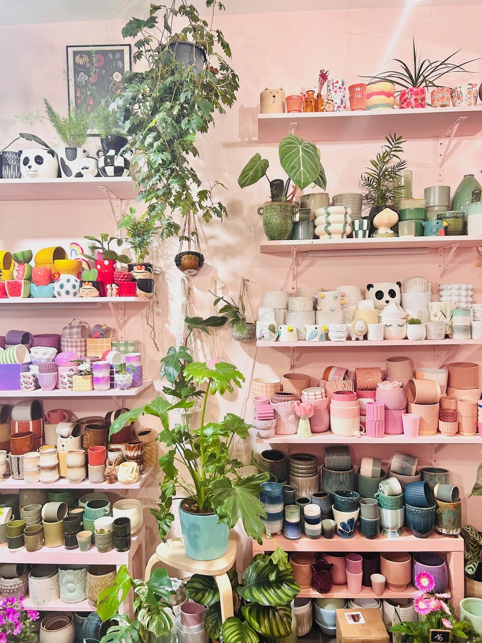 Cache-pots décoratifs