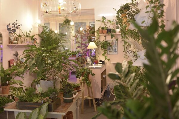 Devanture de Végétal Pétale